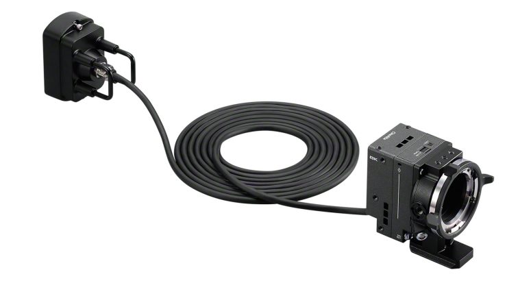 SONY 11